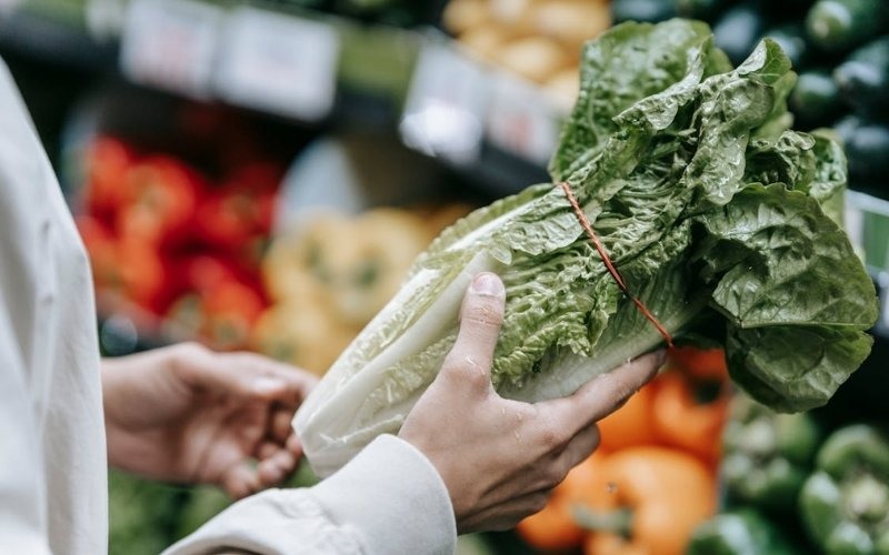 Person selecting fresh lettuce at a grocery store using snap assistance texas benefits