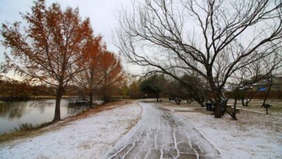 Cold front Texas creates icy ground on a quiet lakeside path