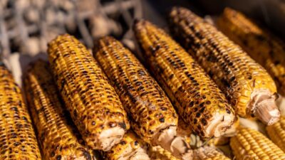 how to grill corn on the cob