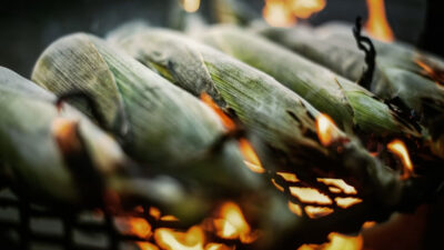 How long to grill corn in the husk for tender kernels and lightly charred flavor