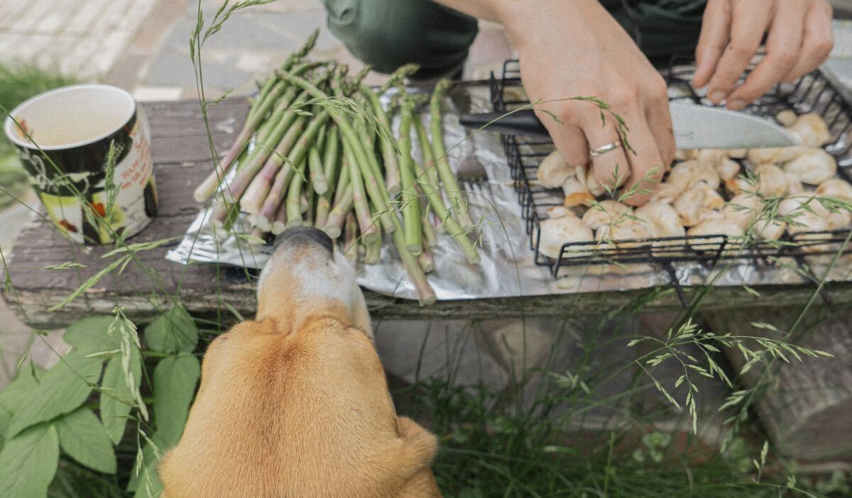how-to-grill-asparagus-in-foil