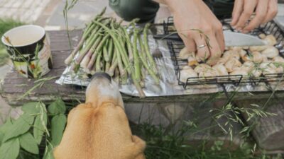 how-to-grill-asparagus-in-foil