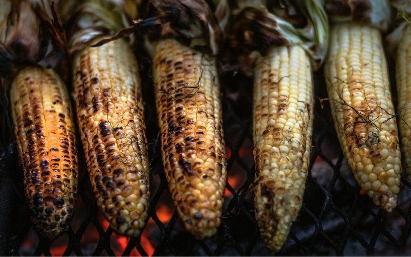 Factors affecting how long to grill corn in husk based on ear size and texture