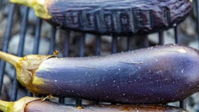 How to grill eggplant in oven with grilling steps for tender slices
