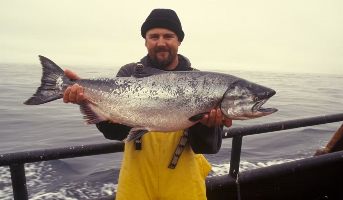 How long does salmon last in the fridge for raw, cooked, and smoked salmon