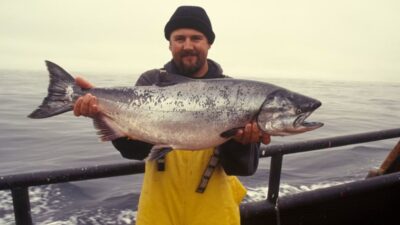 How long does salmon last in the fridge for raw, cooked, and smoked salmon